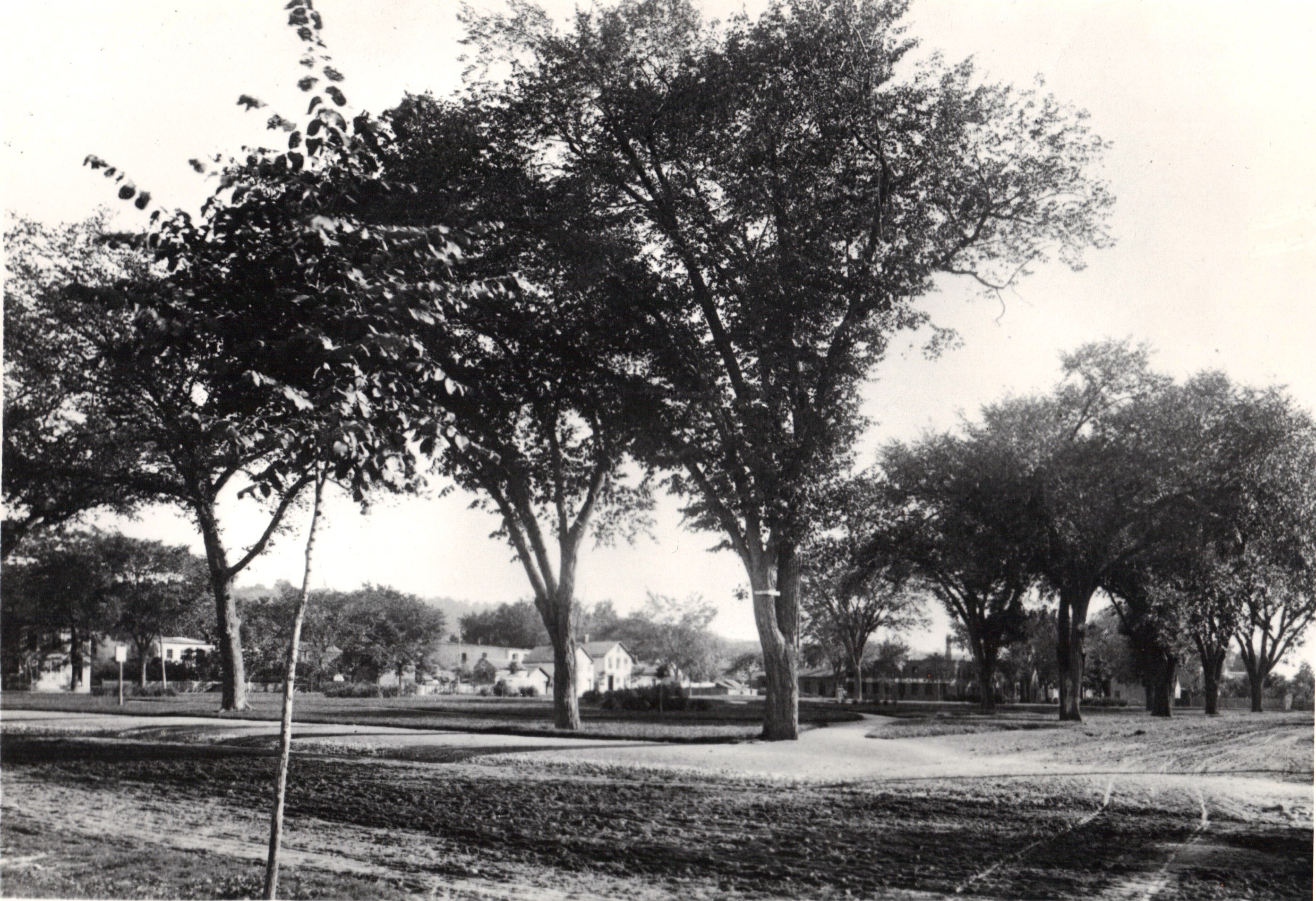 Photo of Village Green showing trees and dirt roads