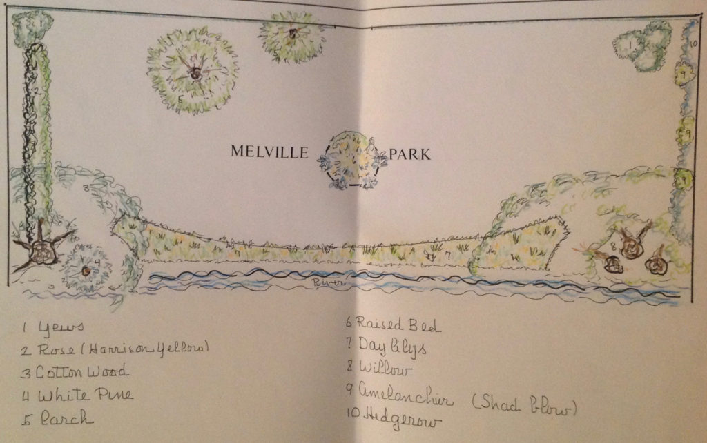 proposed Landscape Design for Melville Park October 1989 by Richard Stott Anderson